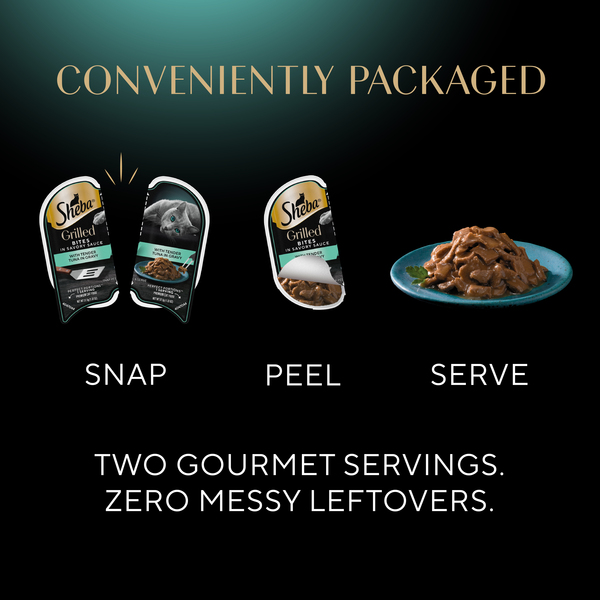 ContentPlus Image 2