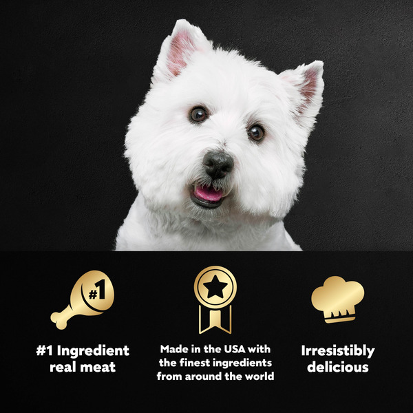 ContentPlus Image 3