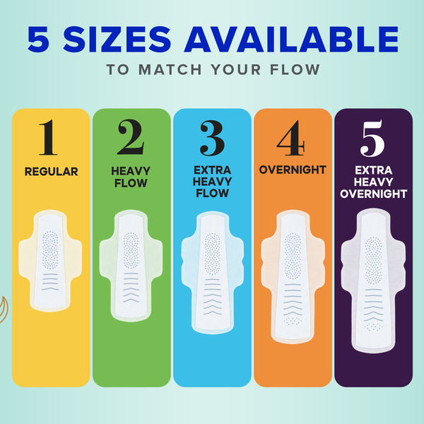 ContentPlus Image 7