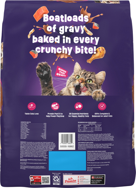 Back of Pack