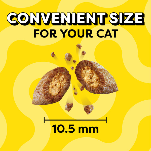 ContentPlus Image 2