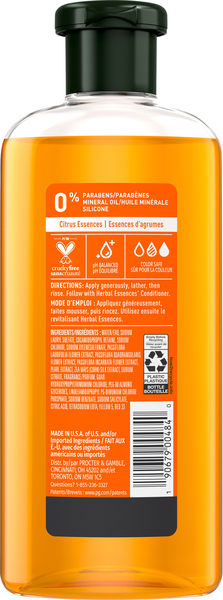 Back of Pack