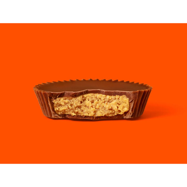 ContentPlus Image 1