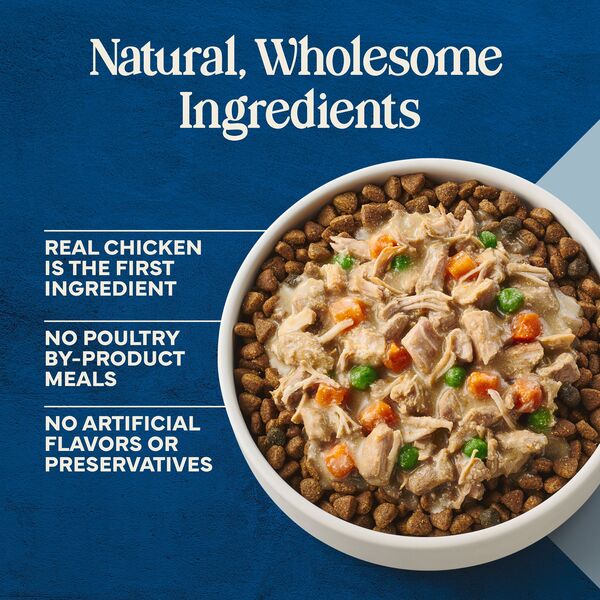 ContentPlus Image 3