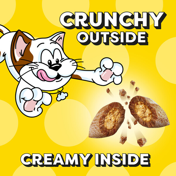 ContentPlus Image 1