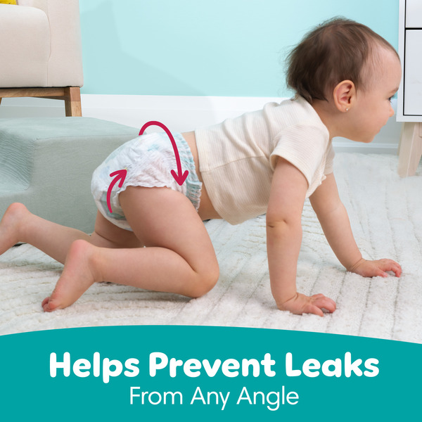 ContentPlus Image 4