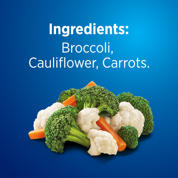 ContentPlus Image 4