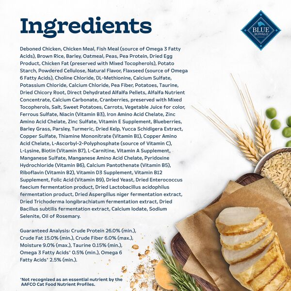 ContentPlus Image 4