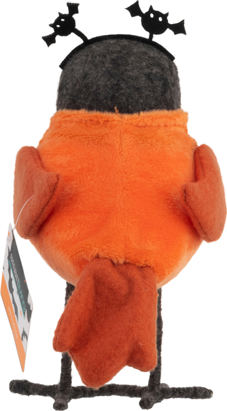 Back of Pack