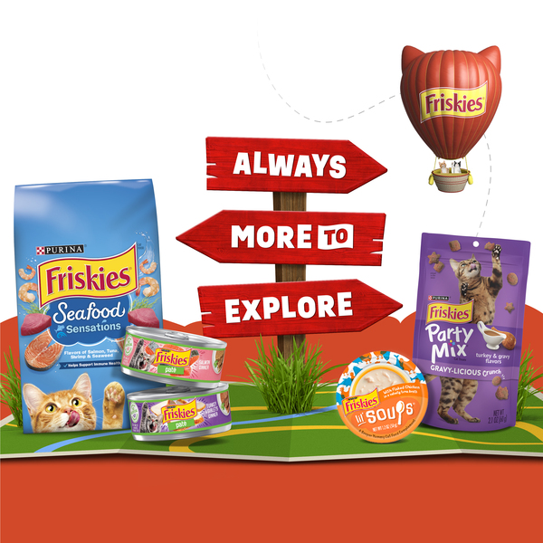 ContentPlus Image 4