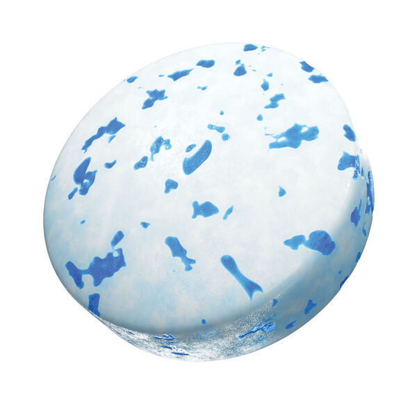 ContentPlus Image 1