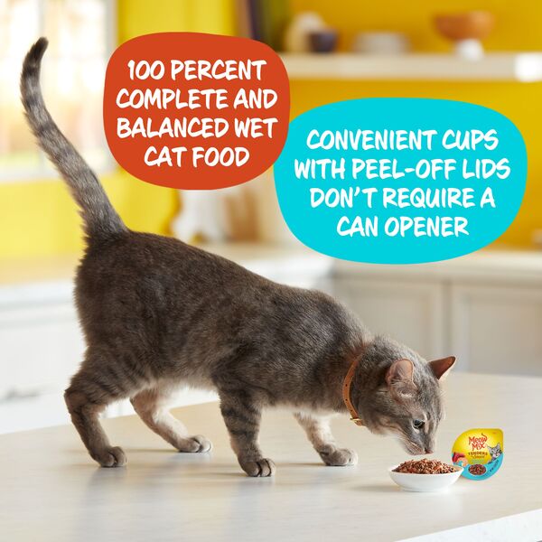 ContentPlus Image 2