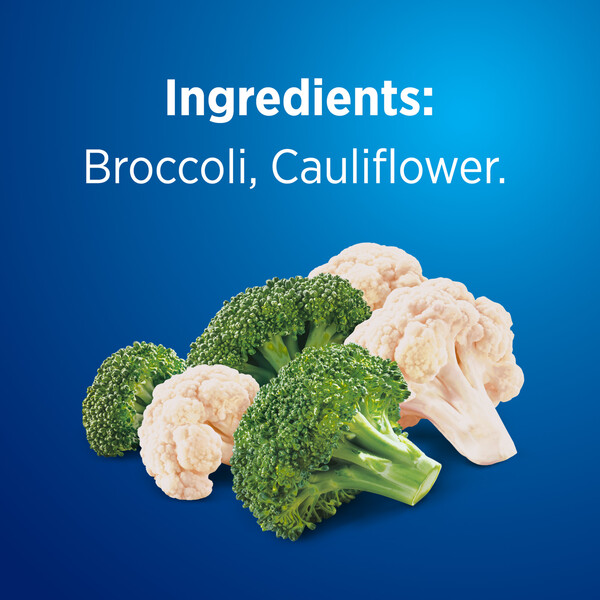 ContentPlus Image 4