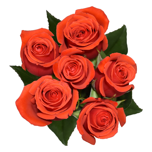 E-Commerce Front