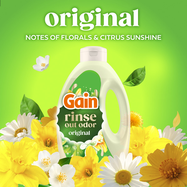 ContentPlus Image 3