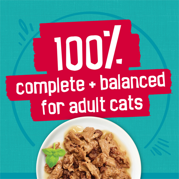 ContentPlus Image 6