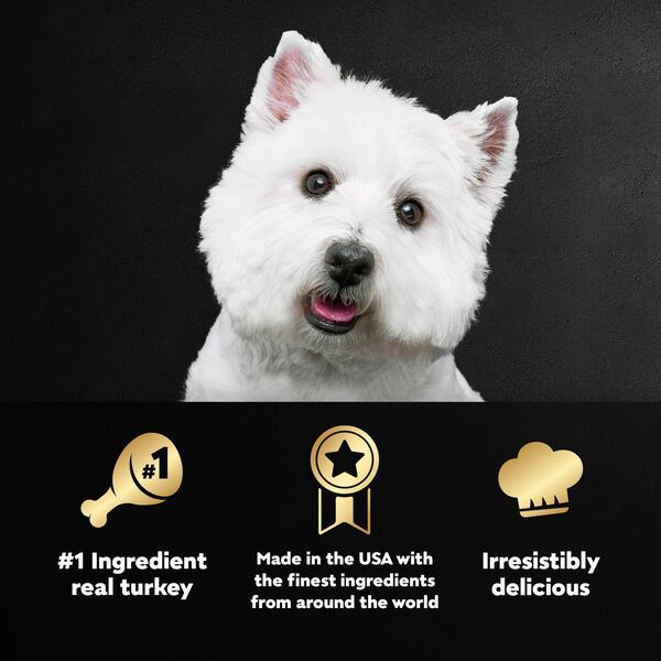 ContentPlus Image 4