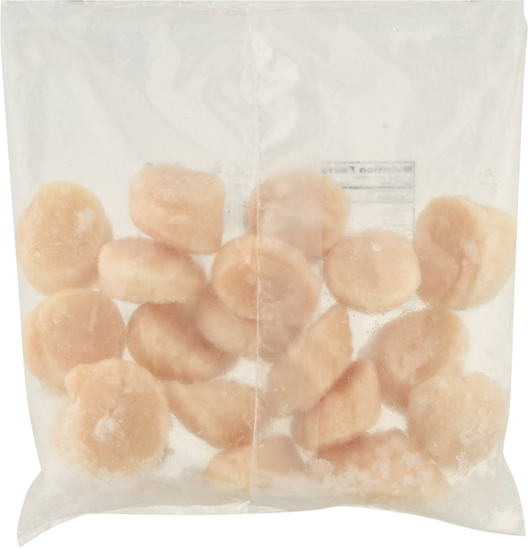 Back of Pack