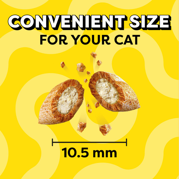 ContentPlus Image 3