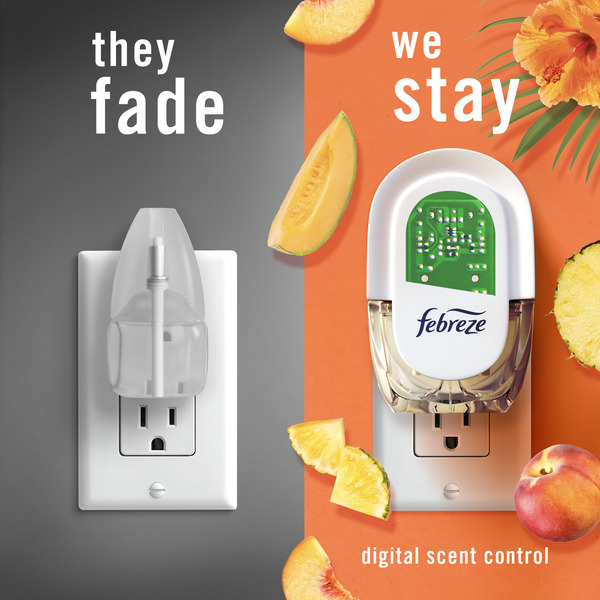 ContentPlus Image 3