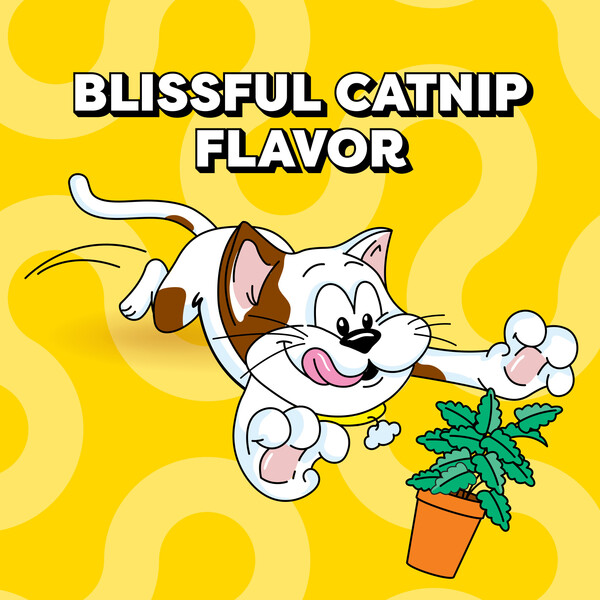 ContentPlus Image 1