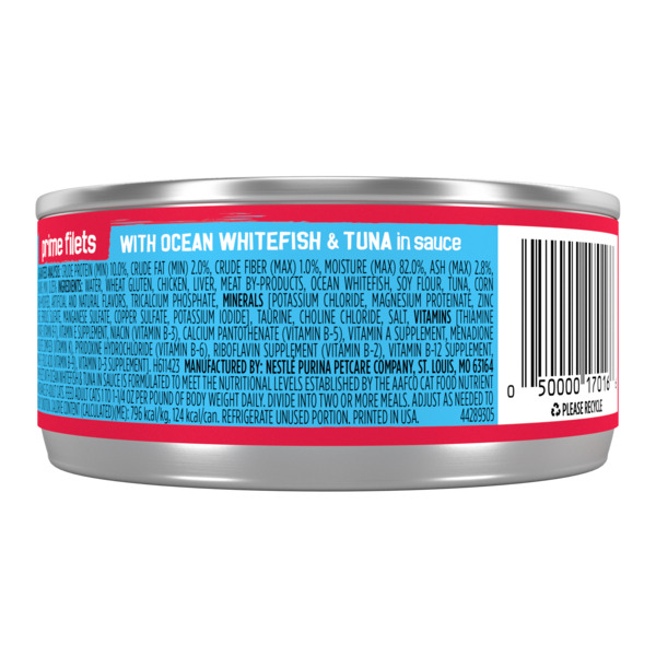 Back of Pack