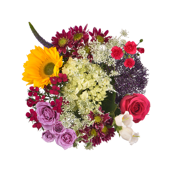 ContentPlus Image 1