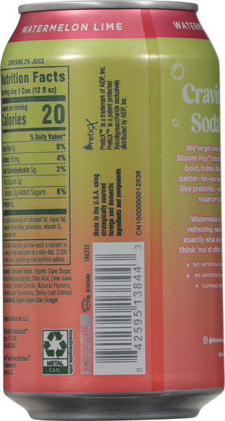 Back of Pack