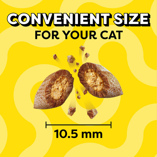 ContentPlus Image 2