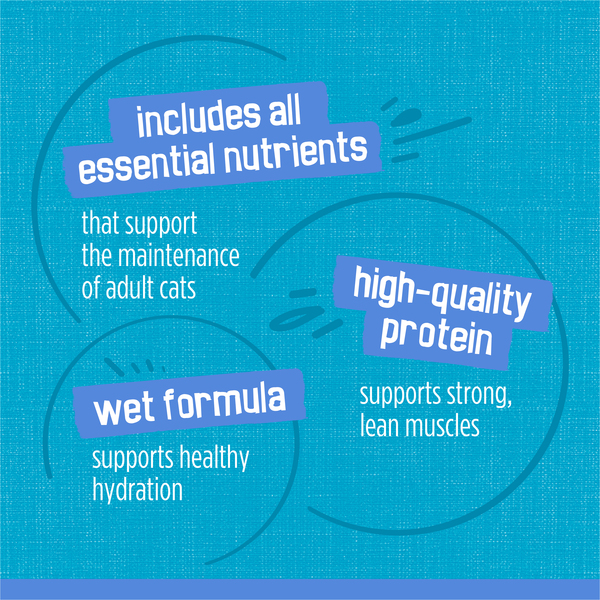 ContentPlus Image 7