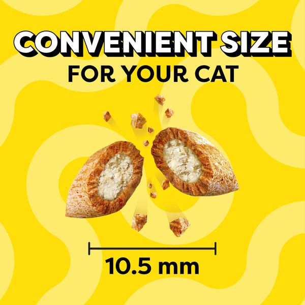 ContentPlus Image 2