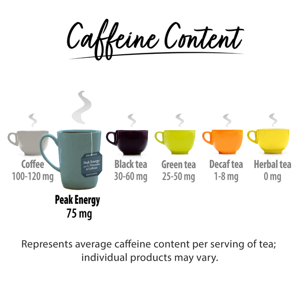 ContentPlus Image 4