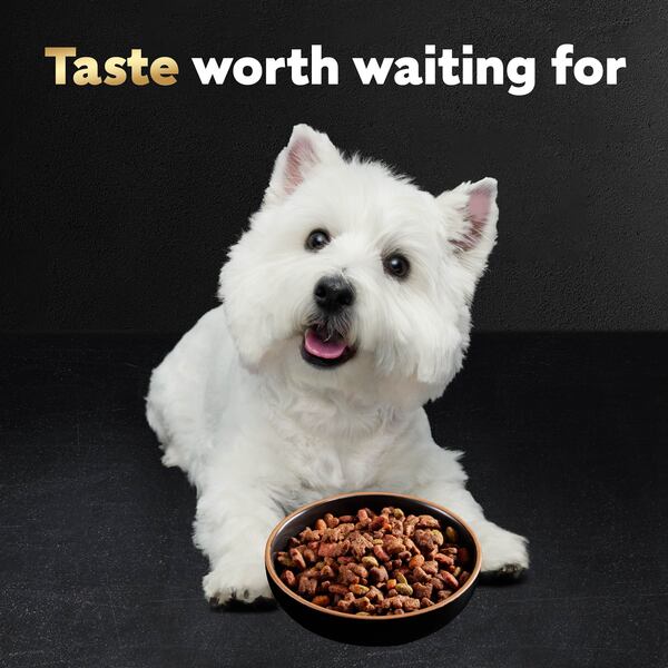 Caesars home delight dog food new arrivals