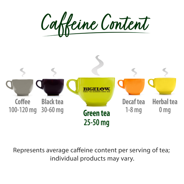 ContentPlus Image 7