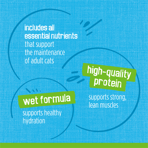 ContentPlus Image 7
