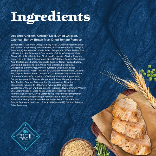ContentPlus Image 4
