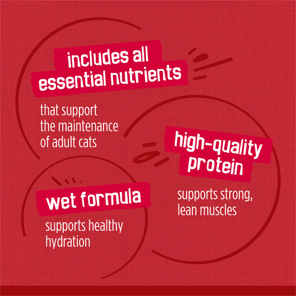 ContentPlus Image 7