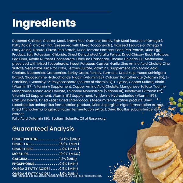 ContentPlus Image 5