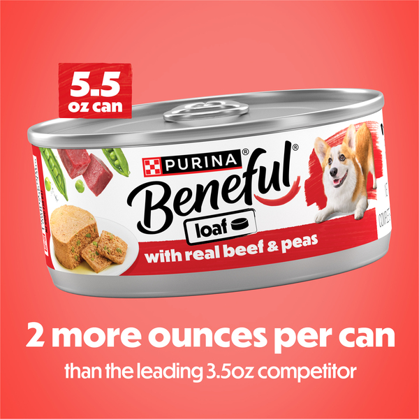 ContentPlus Image 4