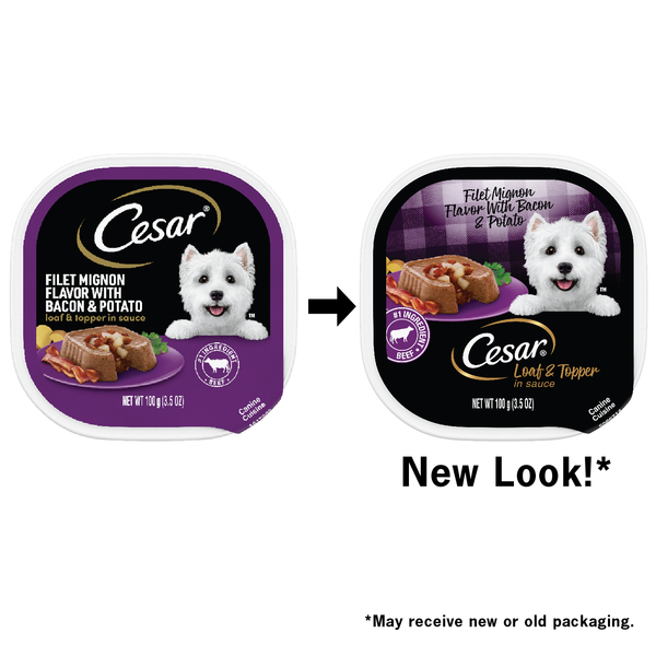 ContentPlus Image 1