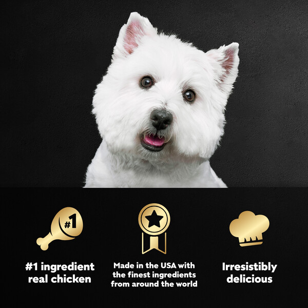 ContentPlus Image 4