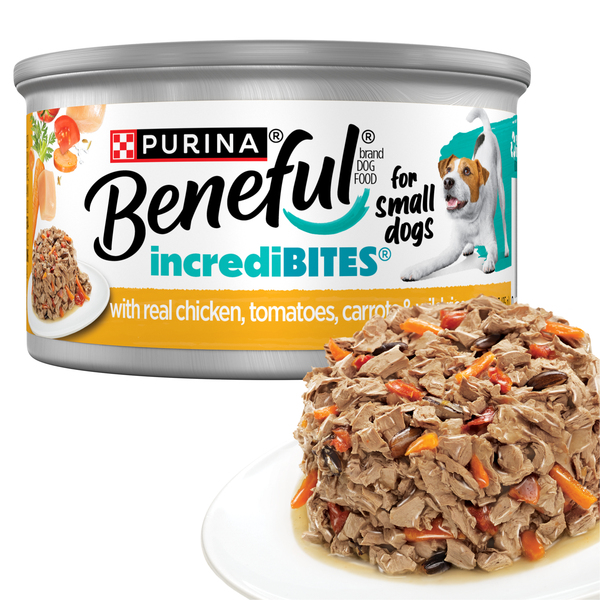 ContentPlus Image 1