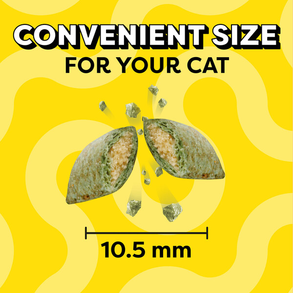 ContentPlus Image 2