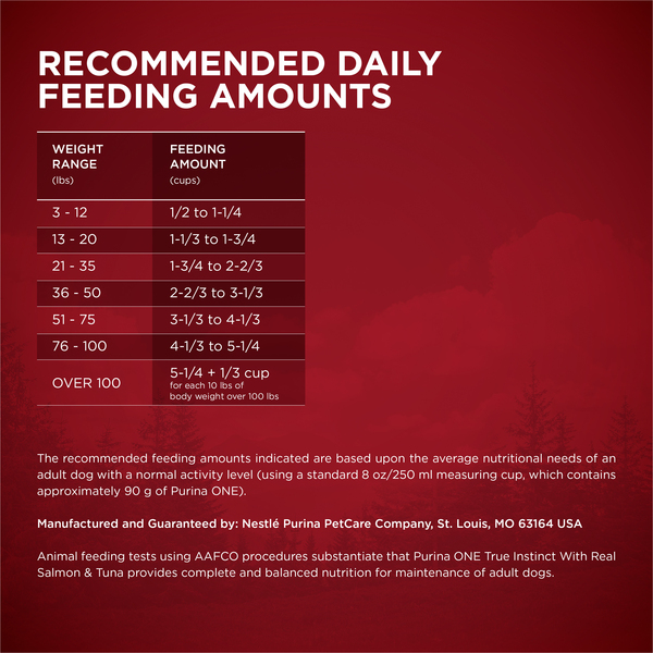 ContentPlus Image 4