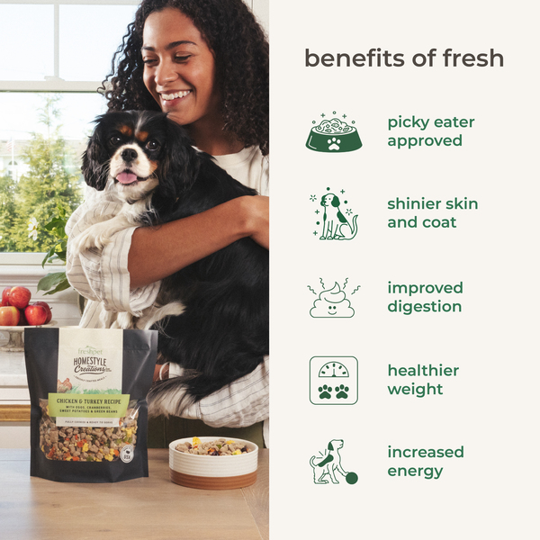 ContentPlus Image 4