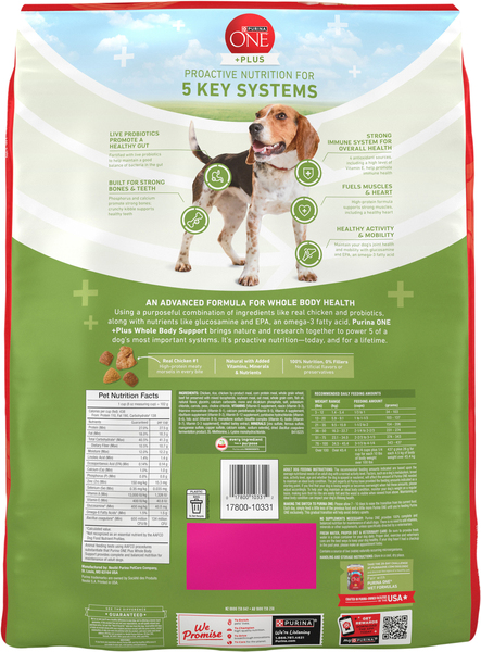 Back of Pack