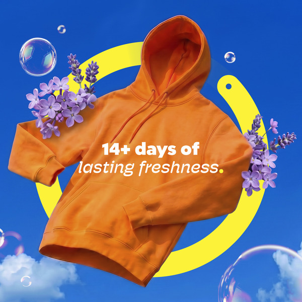 ContentPlus Image 5