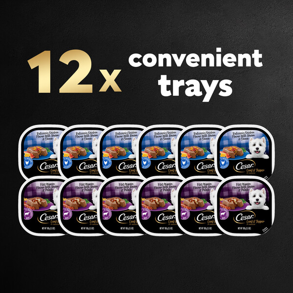 ContentPlus Image 1