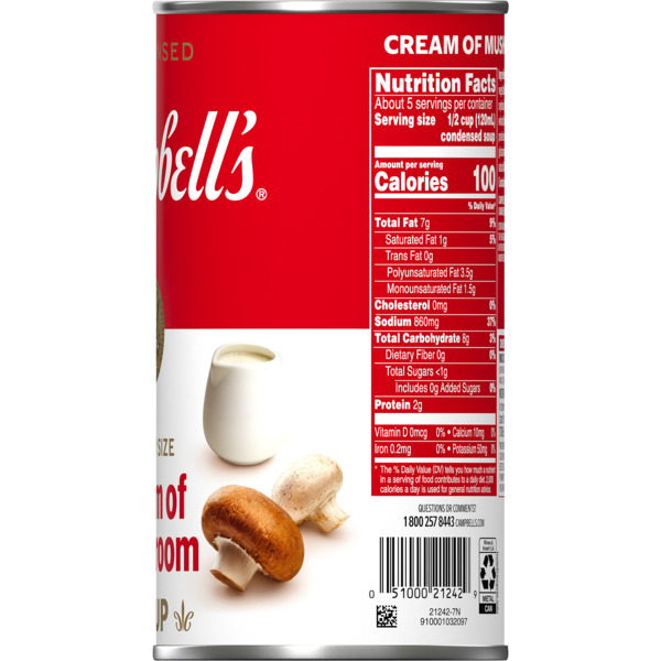 ContentPlus Image 6