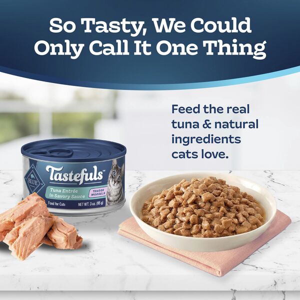 ContentPlus Image 2